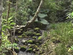 -海南热带雨林国家公园吊罗山景区