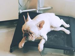 -平行世界·猫咖(首经贸店)