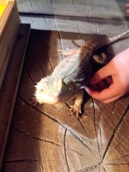 -酷嗒动物文化乐园(cutezoo西溪乐天城店)