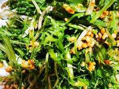 果仁苦菊-郑庄脂渣海鲜楼(九水路店)
