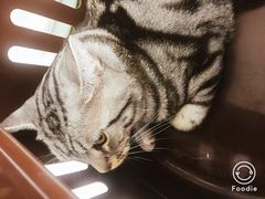 -北京恒爱动物医院(清景园分院)