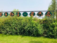 -前小桔亲子创意农场·草莓采摘·露营烧烤