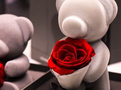 -ROSEONLY诺誓(广州K11店)