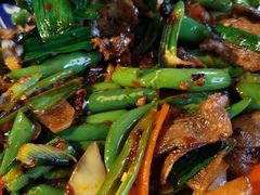辣椒炒肥肉-山城遇宴·重庆江湖菜(五道口银谷大厦店)