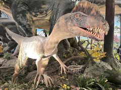 -湖南省地质博物馆