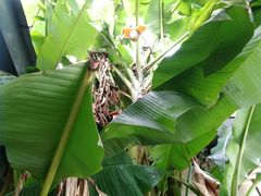 -昆山城市生态森林公园