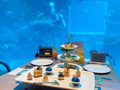-涛·海底餐厅·美人鱼·自助餐·海底隧道(三亚海棠湾洲际度假酒店)