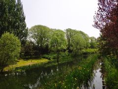 -大望京公园