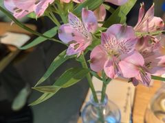 -一坐一忘云南菜(三里屯店)