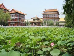 -大明幻境第一城
