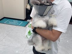 -安安宠医宠物医院·异宠·犬猫内科(岳阳分院)
