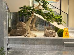 -碧丽宫大酒店(召稼楼店)