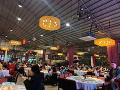 -大树头森林餐厅(番禺广场店)