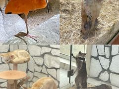 -海合安武汉极地海洋公园