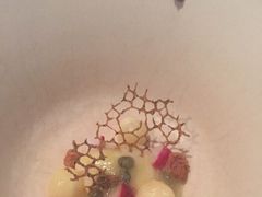 -Bleston Court Yukawatan