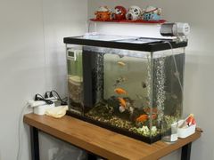 -会麦二手奢侈品包包手表回收寄卖(八佰伴店)