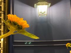 -翠湖轩中餐厅(昆明翠湖宾馆店)