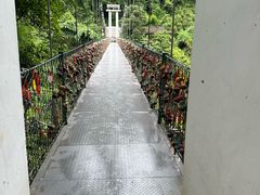 -西双版纳原始森林公园