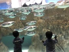 -成都浩海立方海洋公园