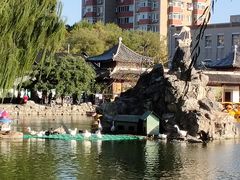 -团结湖公园