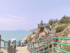 -广东惠东海龟国家级自然保护区