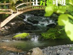 -凤凰山国家森林公园
