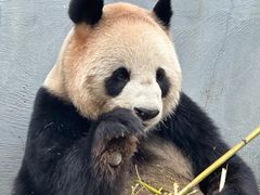 -杭州野生动物世界