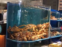 水产区-蟹田居·活蟹料理(东城店)