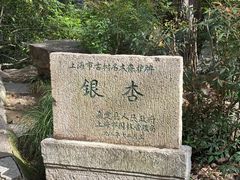 -秋霞圃
