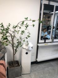 -HG美发设计沙龙