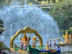 -西双版纳原始森林公园