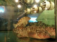 -合家小菜餐馆(新诚花苑店)