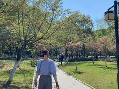 -范蠡湖公园