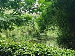 -望江楼公园