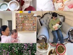 -田螺阿姨自营月嫂·育儿嫂(高新店)