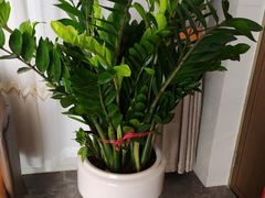 -北国饭店.海鲜.北方菜(新河路店)