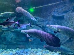 -泉城欧乐堡海洋极地世界