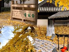 -常熟方塔园