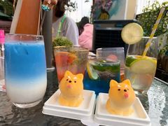 -柴犬高等学院·狗咖·柴犬售卖·宠物训练