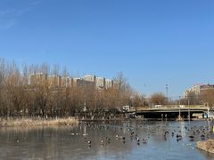 -前关湿地公园