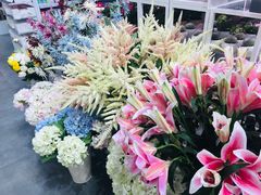 -KKV(天津津南吾悦广场店)