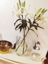 -美肤盾祛痘·问题肌头疗管理中心