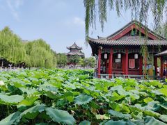 -济南大明湖景区