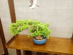 -卫鼎轩·曹公馆(鼓楼店)