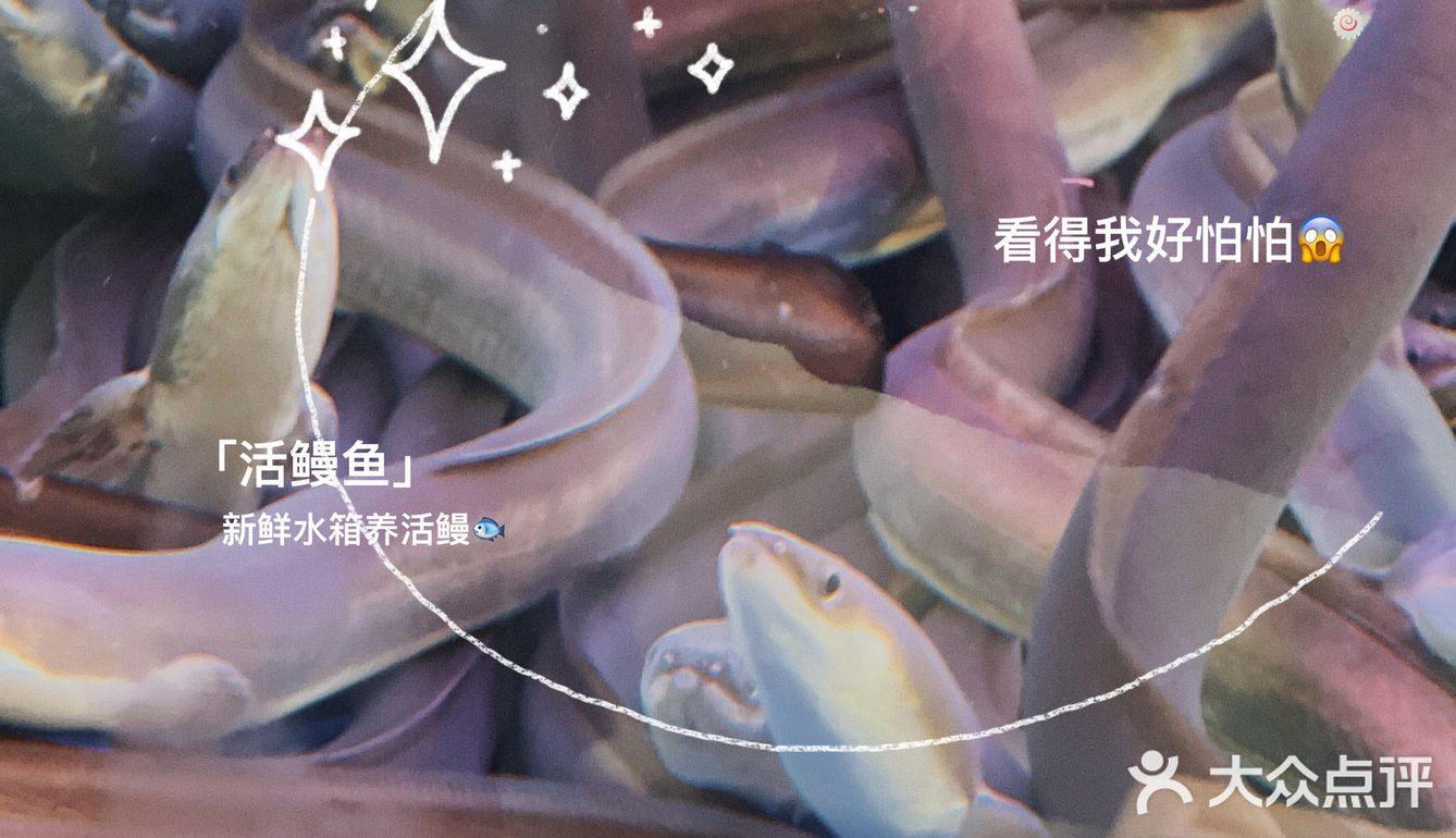 番禺宵夜第一首选🔥烤活鳗鱼还能这样吃？混合烤肉店吃过瘾