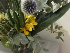 -知物癖(牛王庙店)