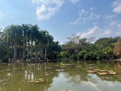 -中国科学院西双版纳热带植物园