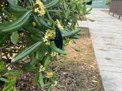 -北川羌城旅游区