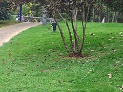 -四里河滨水生态公园