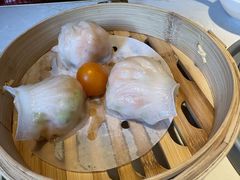 -点都德·毕德寮